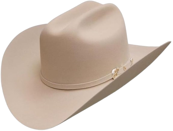 Independencia 100X Fur Felt Silver